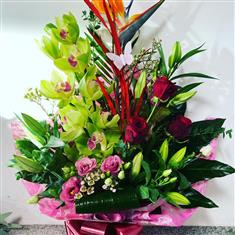 Tropical Arrangement 
